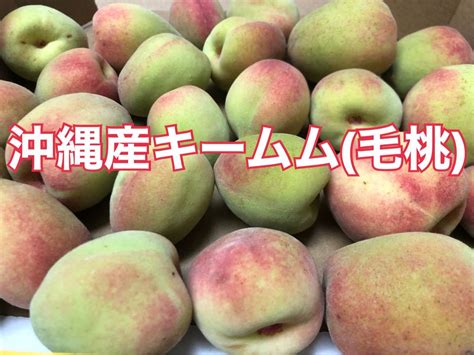 桃樹種類|モモ（桃）の種類（原種、品種）